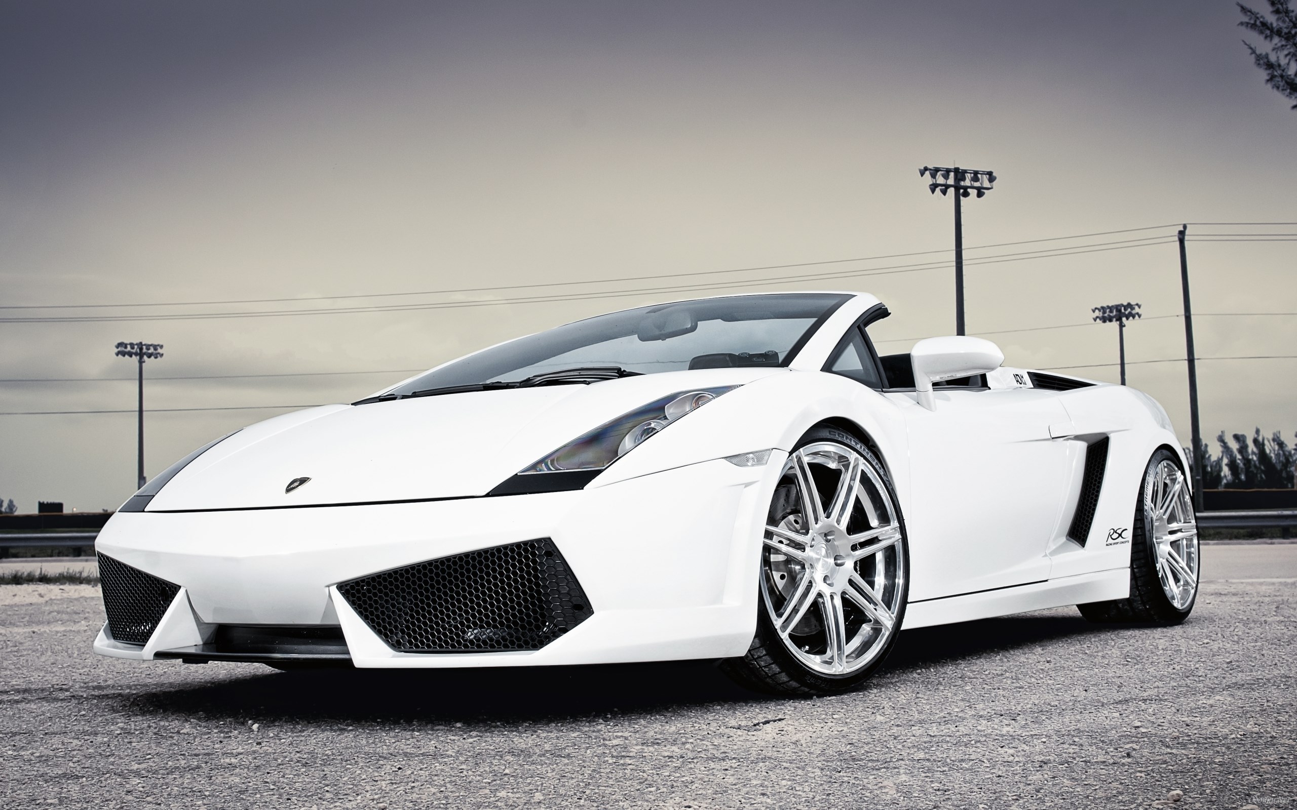 White Lamborghini Gallardo