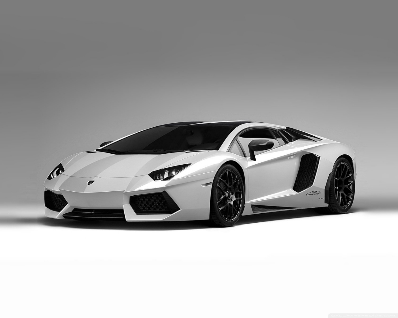 White Lamborghini Wallpaper