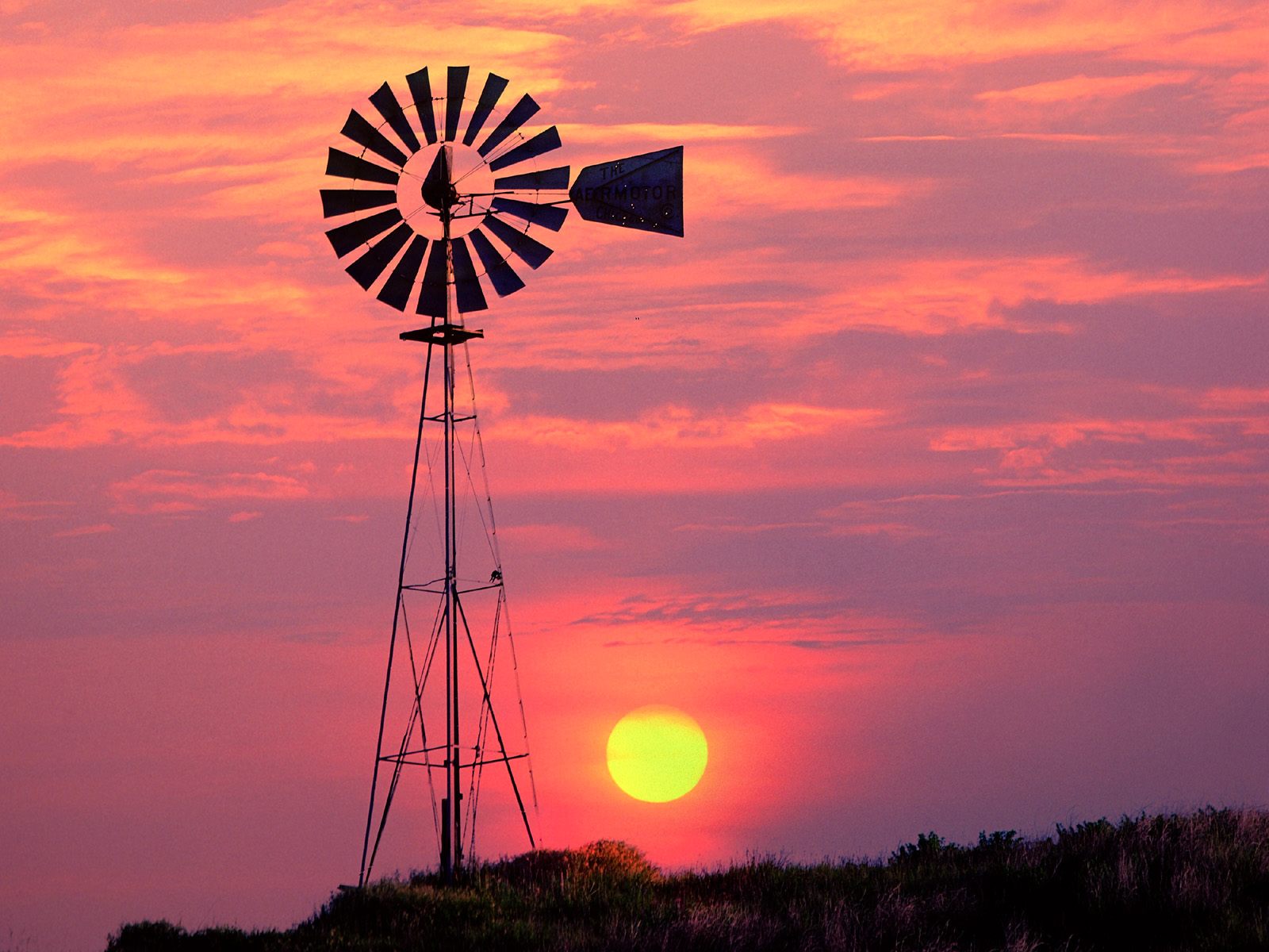 Windmill Pictures
