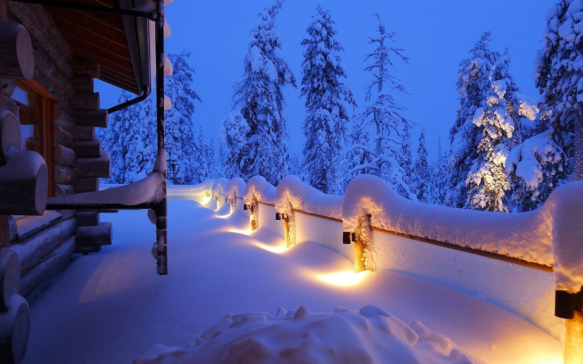 Winter house lights