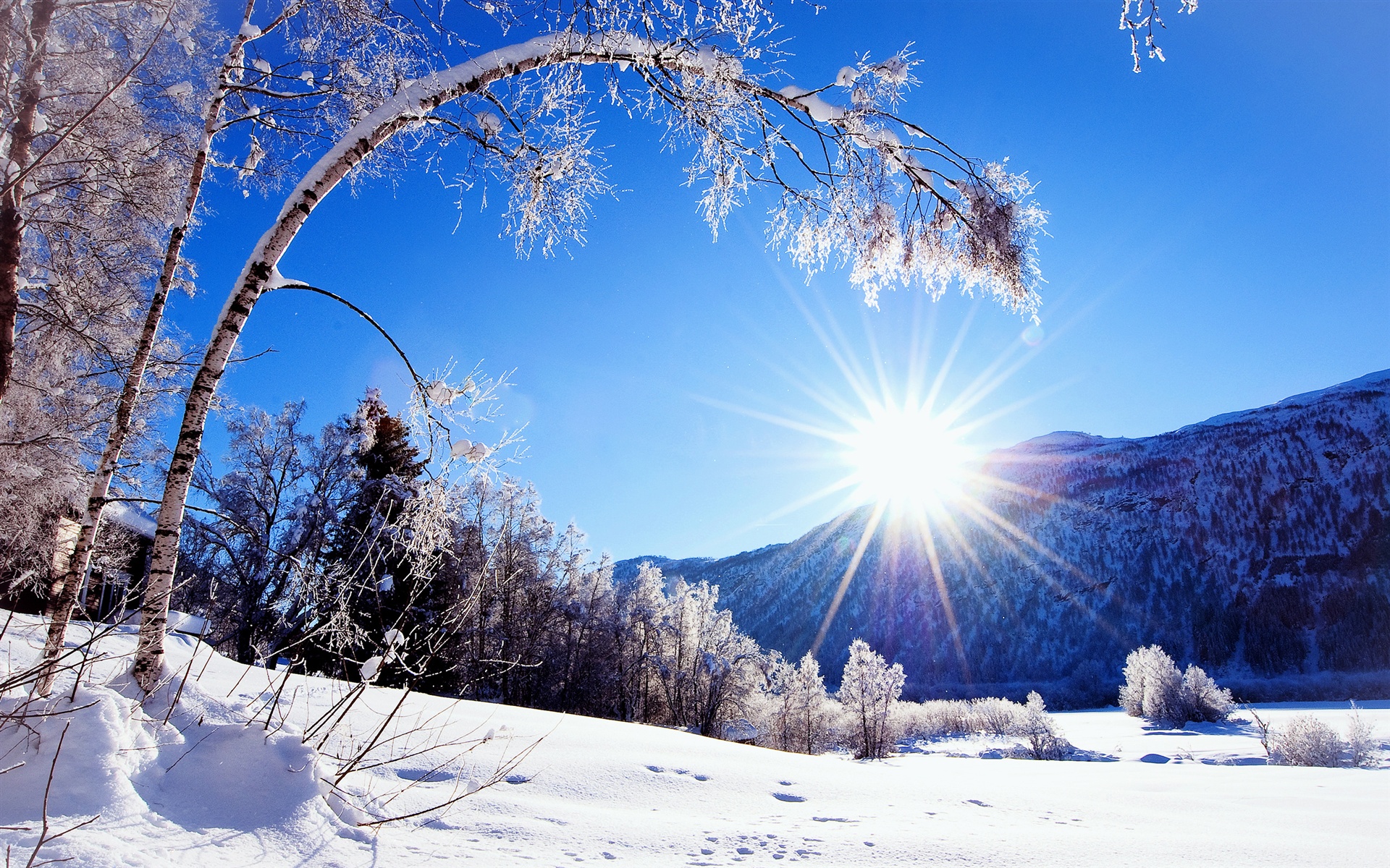 Winter, snow, mountains and trees, white scenery, dazzling sunshine wallpaper 1920x1200.