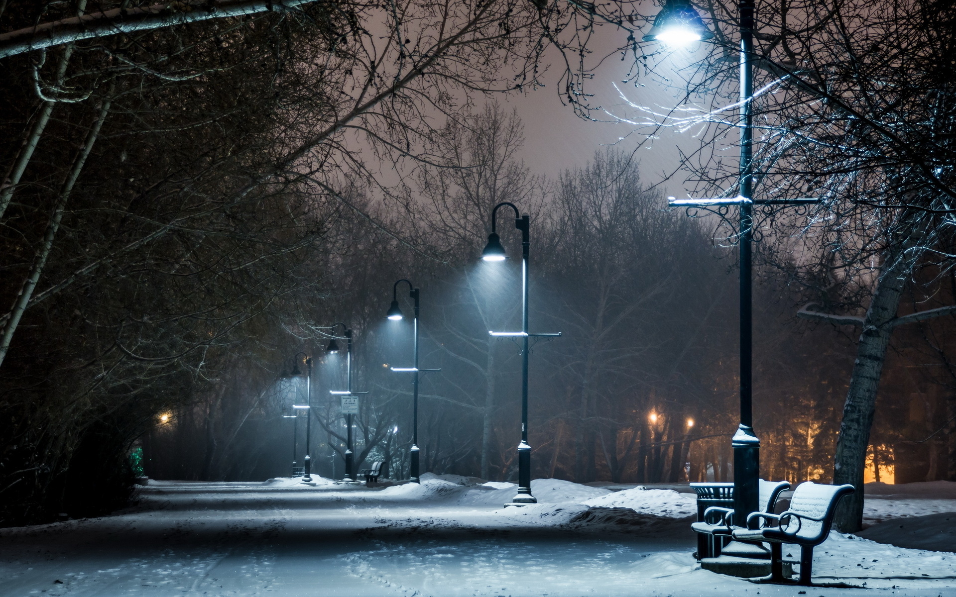 park winter snow bench lights lamp post night path trail wallpaper background