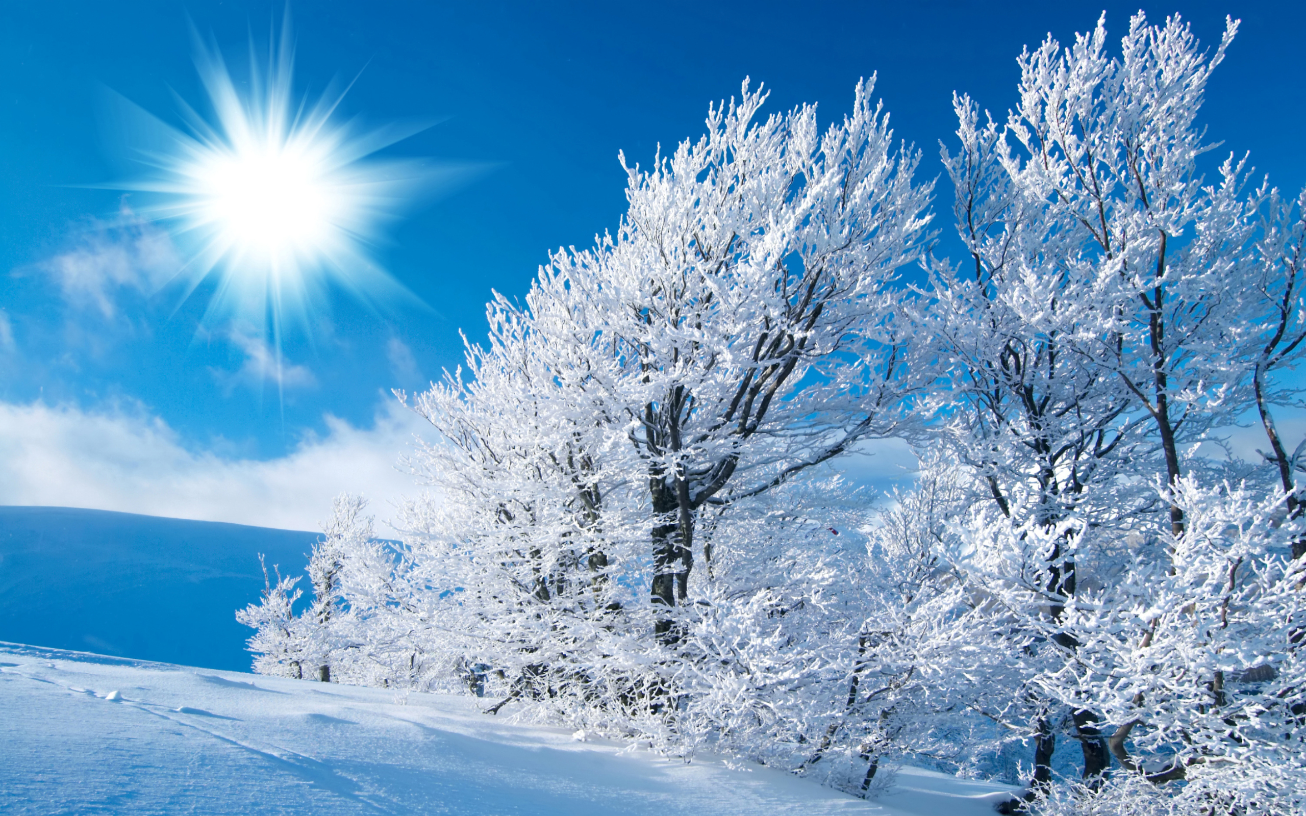 Please check our latest hd wallpaper widescreen below and bring beauty to your desktop. Winter HD Wallpapers