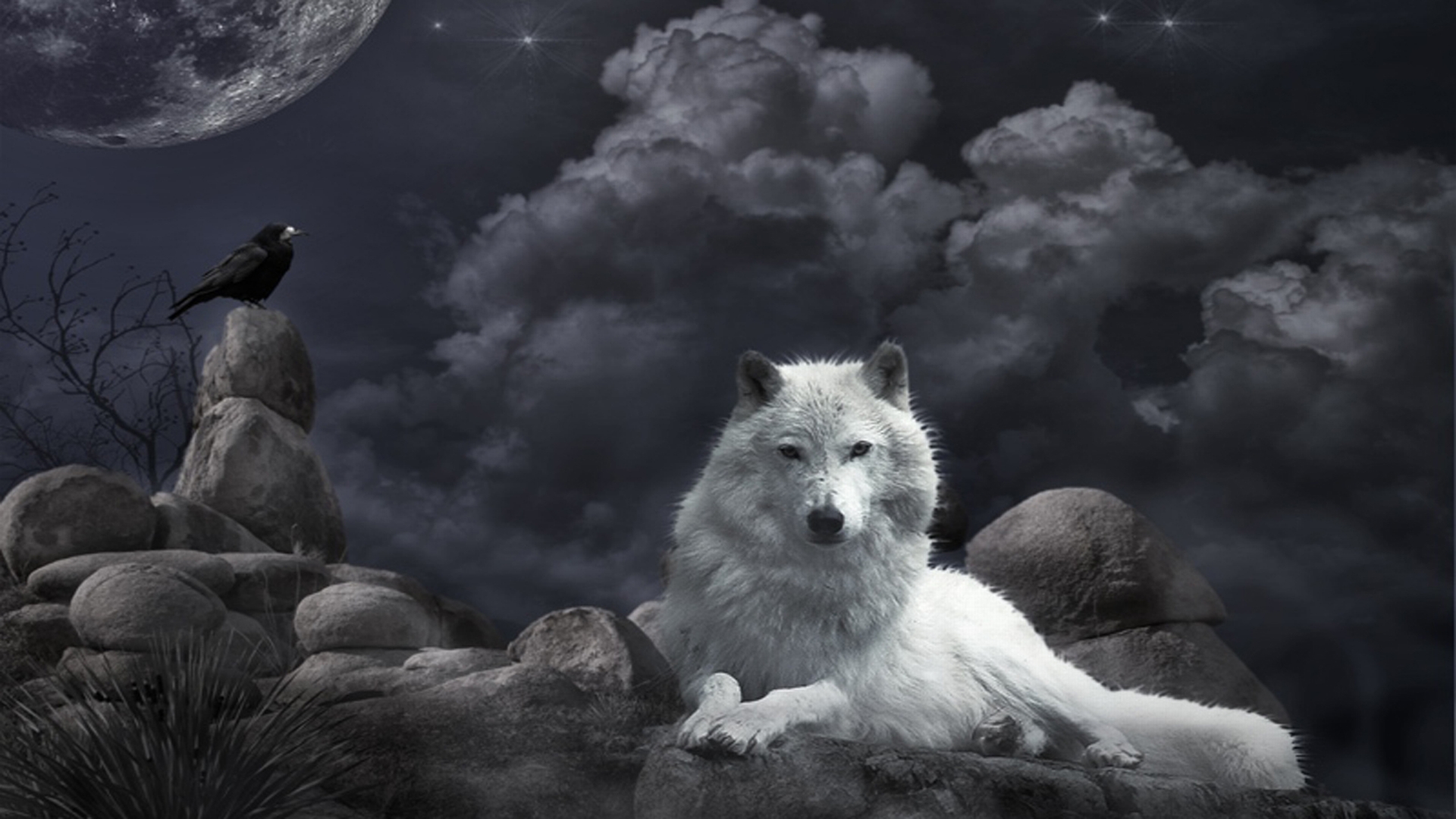 HD Wallpaper | Background ID:125502. 1920x1080 Animal Wolf