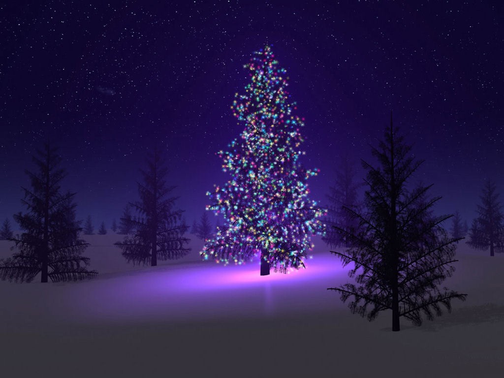 Cool Xmas Wallpaper: Fascinating Christmas Tree Desktop Wallpapers 1024x768px