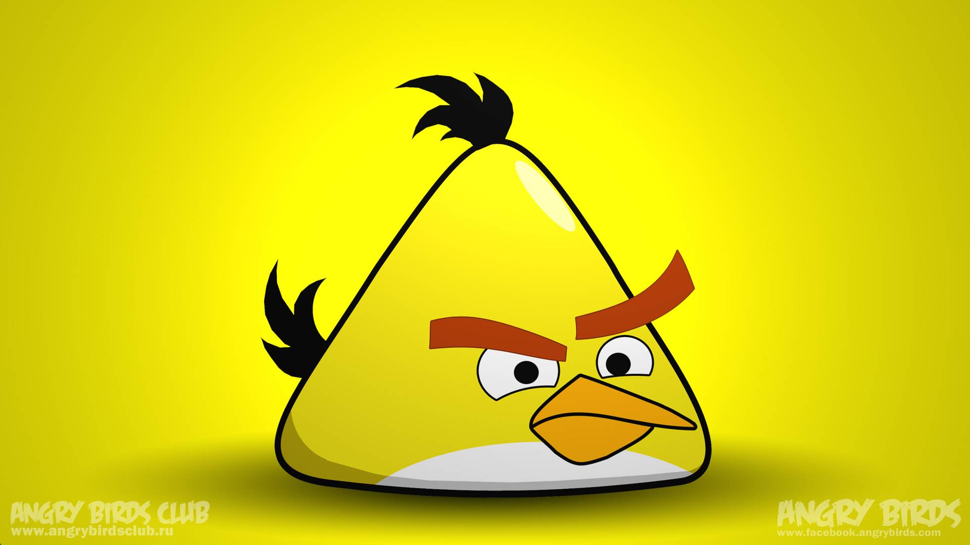 Yellow Angry Bird