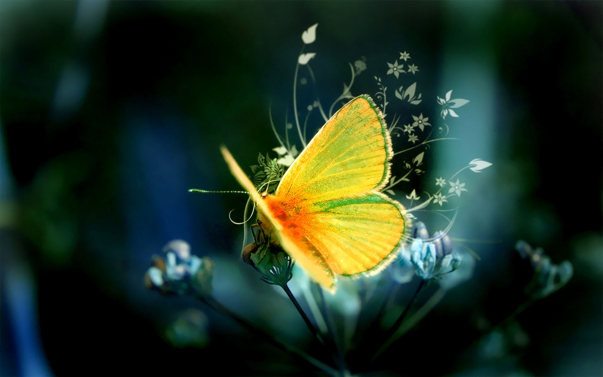 Yellow butterfly art