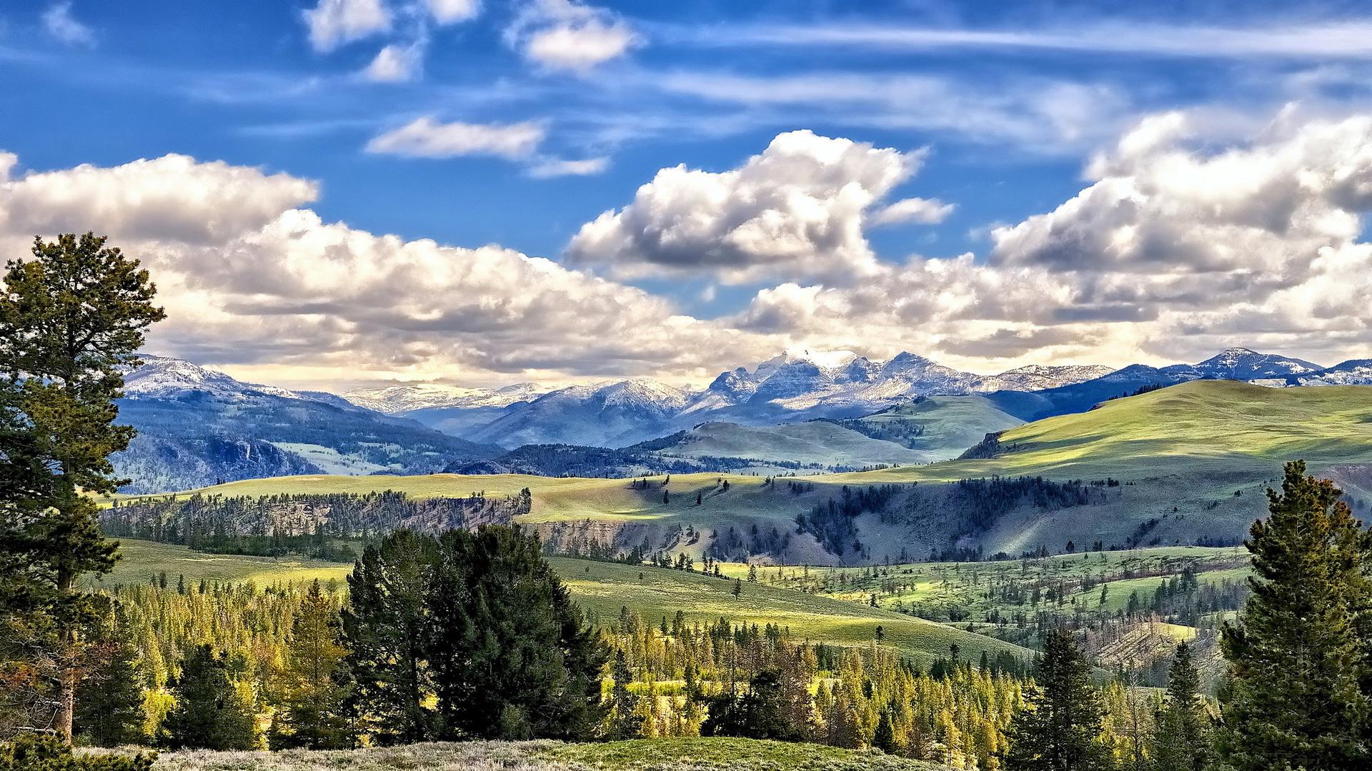 Fantastic green meadows in yellowstone hdr HQ WALLPAPER - (#94707)