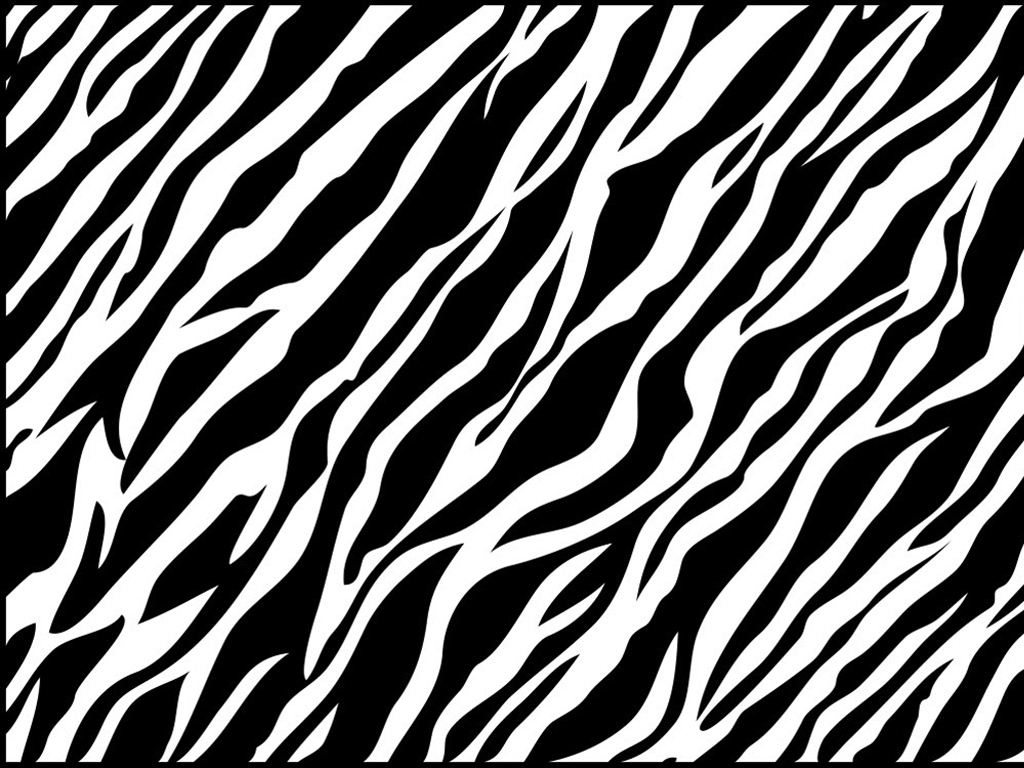 Zebra Animal Print Hd Cool 7 HD Wallpapers