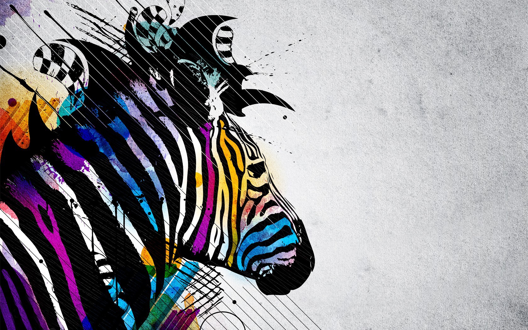 Zebra Background