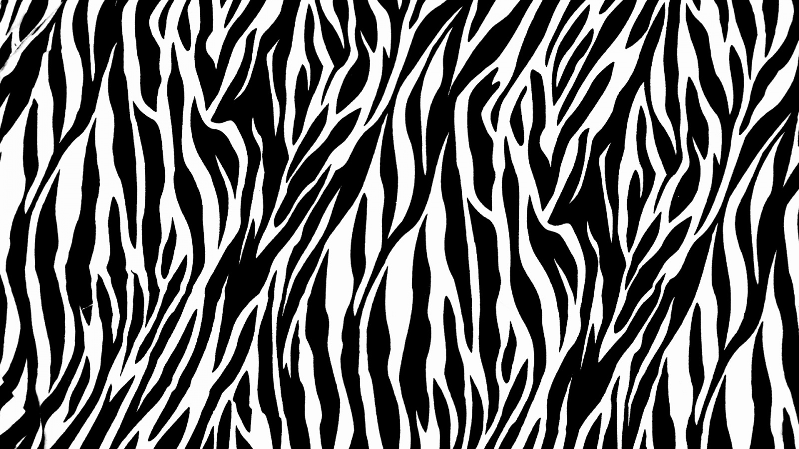 Zebra Print Background 18497 1240x800 px
