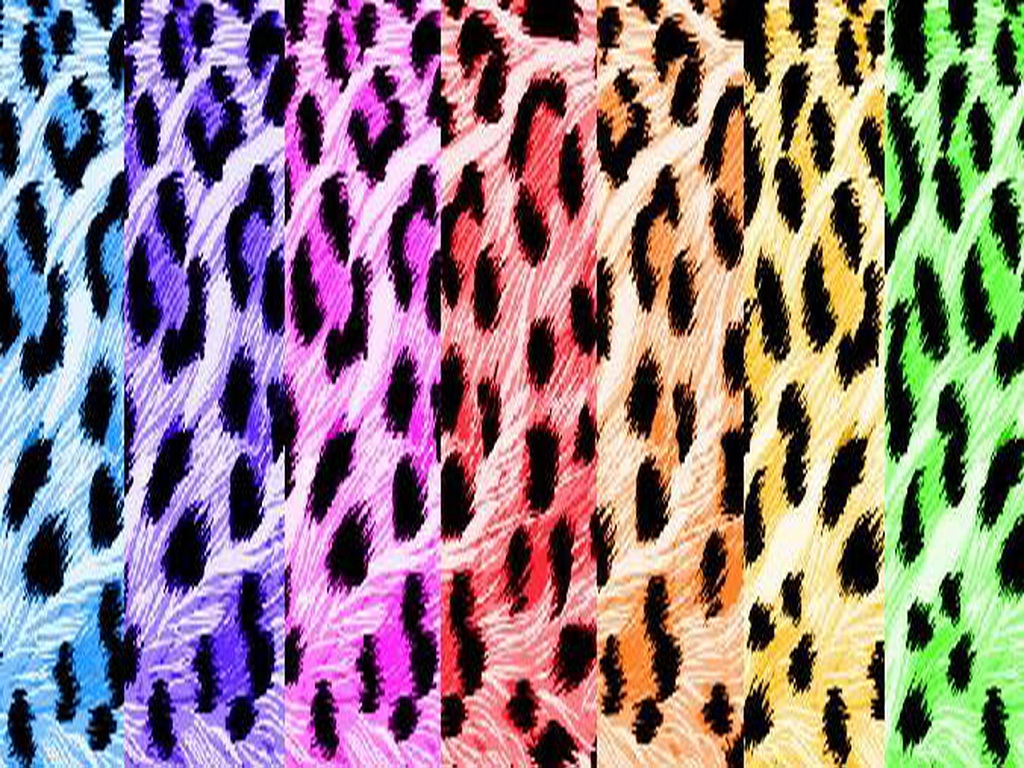 Wallpapers for Gt Neon Rainbow Zebra Print Backgrounds