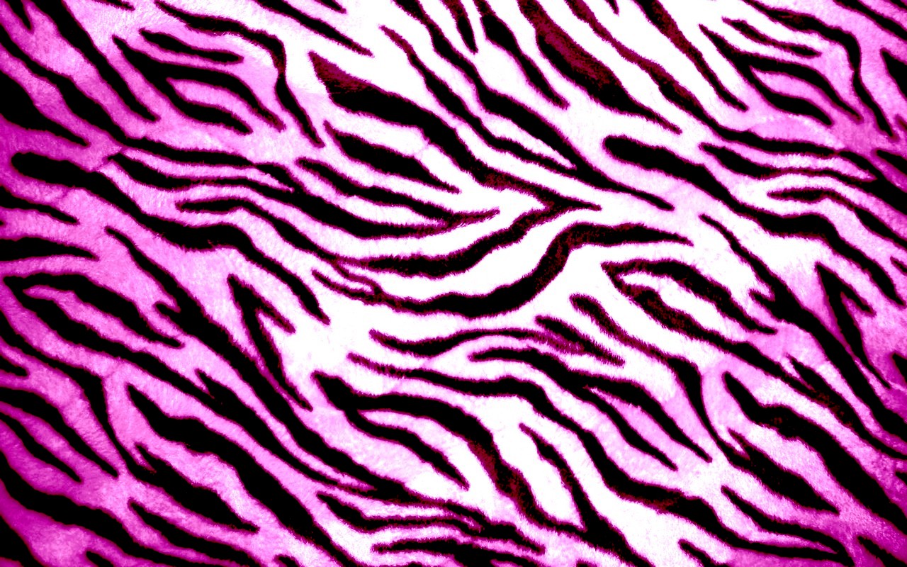 Colorful Animal Print Desktop Wallpaper: Wallpapers for Gt Colorful Zebra Print Wallpaper Desktop 1280x800px