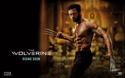 2013 Wolverine
