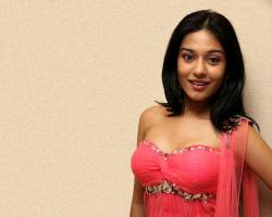 amrita-rao-actress-wallpaper-4 - Bollywood South Indian Movies .