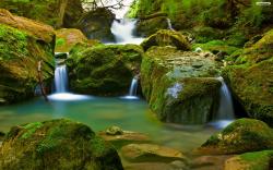 Fashionable Rainforest Waterfall Desktop Background Hd Wallpaper