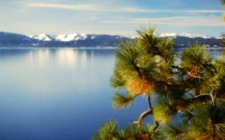 50 Amazing Lake Tahoe Pictures In Nevada