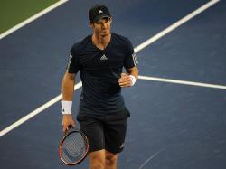 Andy Murray: I quit while I'm ahead too often - Tennis - Sport - The Independent