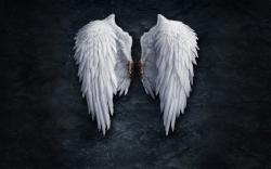 Angel Wings Creative