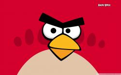 Angry Birds - Red Bird HD Wide Wallpaper for Widescreen