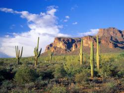 superstition mountains tonto national forest arizona wallpaper