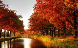 Colors Autumn Background 1 HD Wallpapers
