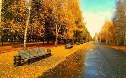 Autumn Park Road
