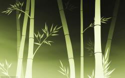 Bamboo wallpaper HQ WALLPAPER - (#180446)