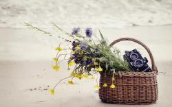 Basket Flowers Camera Sand Sea Beach