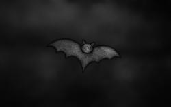 Bat Art Funny HD Wallpaper
