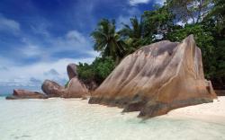 Beach sand rock palms tropical