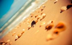 Beach sand stones