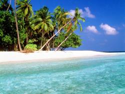 tropical island beach scenery ...
