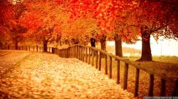 Beautiful Autumn Photos Widescreen 2 HD Wallpapers