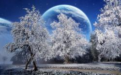 HD A Beautiful Winter With A Big Moon Wallpaper · Mystical Flower Shine