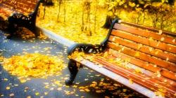 Wallpaper Tags: red yellow park fall leaves bench autumn