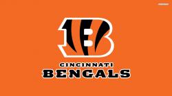 Image for Bengals Wallpaper