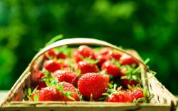 Strawberry Basket Berries Macro