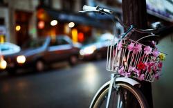 Bicycle Basket Flowers City Evening Lights