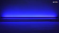 Fluorescent Blacklight Blue Tube