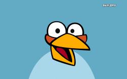 blue - angry-birds Wallpaper