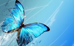 Blue Butterfly Wallpapers - HD Wallpapers