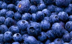 Blueberries macro