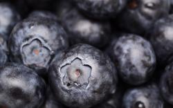 Blueberries Macro Berries