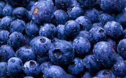 View And Download Blueberry HD Wallpapers ...