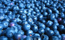 View And Download Blueberry HD Wallpapers ...