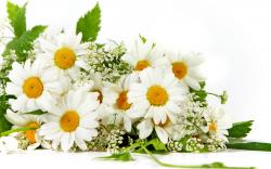 Bouquet Of Flowers Images Background 2 HD Wallpapers