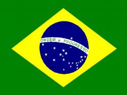 The Brazilian flag officially was adopted as the national flag on November 19, 1889, four days after Brazil became a republic. The new flag was designed by ...