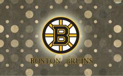 If you are looking for Boston Bruins images, today is your lucky day!! :D