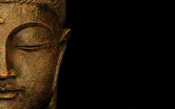 Discovering the Buddha